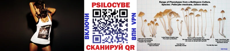 Галлюциногенные грибы MAGIC MUSHROOMS  Казань 